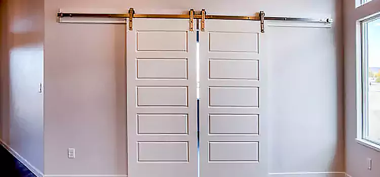Glass Barn Door with Installation Hardware Kit Westerly